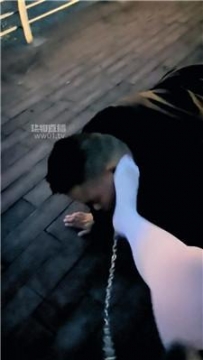 【调教视频】【冷艳女王】日落之际户外遛狗 JS251016-8