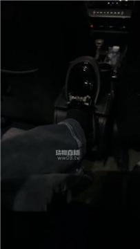 【调教视频】【雅雅sama】车内车外训化司机奴 JS251204-21