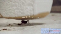 24086 婧児洁白高跟凉鞋公主袜 CRUSH踩死脚下肮脏的虫子们 GPCT_020C1