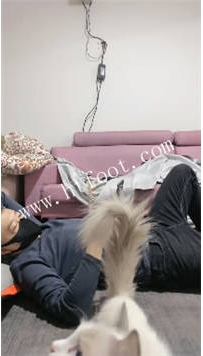 TL45637 冰诺】运动鞋踩踏30分钟