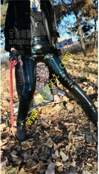 TL24760 乐爷】野外训狗黄金圣水64分钟