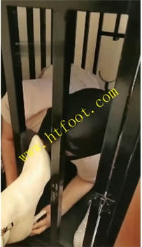 TL33601 美少女母女主】关在狗笼里的狗32分钟