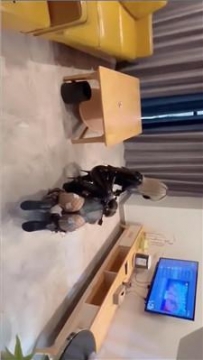 【调教视频】【PP恋物】彻底犬化闺蜜犬【完整版】 bf61995