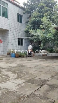 ZB9788 忆人离--骑马调教奴隶109分钟