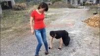 16026（最新）风情女王--野外遛狗调教
