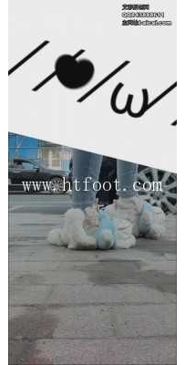 34385  【小熏】把狗子变为脚下的玩具小熊羞辱（户外+室内）