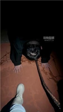 【调教视频】【戚戚】户外遛狗犬化 JS251121-27