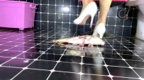 30322  蓝色-冰诺CR 把一条大鱼踩成肉酱需要多久！新年快乐