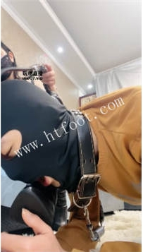 ZB3906 颜主】主人的玩具20分钟