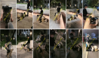 TL31880 樱桃大大】户外骑马32分钟