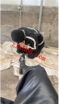 TLZB25751 77夫妻-关了一天的狗42分