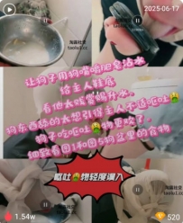 TL402 语阳 吃主人呕吐物的勾子44分钟