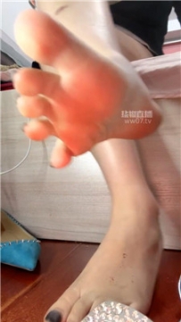 【第一视角】【咬猫】狗儿子认亲了鞋子崇拜    251125-18