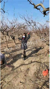 ZB2385 沐颜】数据线鞭打41分钟