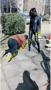 TL27902 羽诺】户外遛狗34分钟