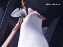 女主让被圈养在笼子里的男奴强制为自己除臭  JS251223~2