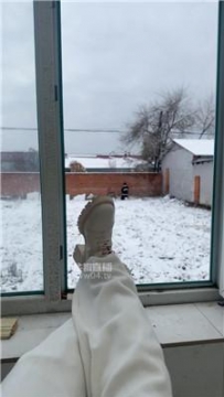 【调教视频】【77夫妻】冰天雪地玩人形犬 JS251103-8