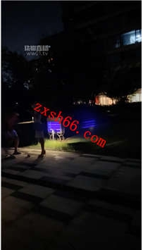 TLZB25707小广-剧情调教玩狗29分