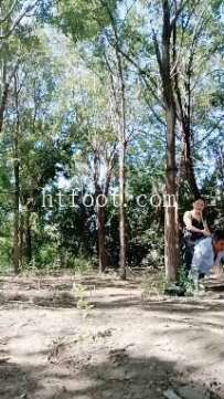 ZB11390 兰姐-野外骑马喝升水30分钟