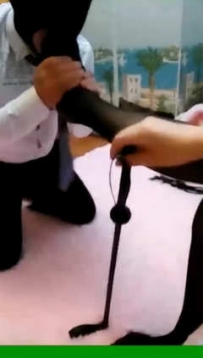 TL3744 狐狸SAMA 惩罚回家晚点了的家犬