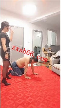 TLZB26023南荣-超狠鞭打老狗清理鞋35分