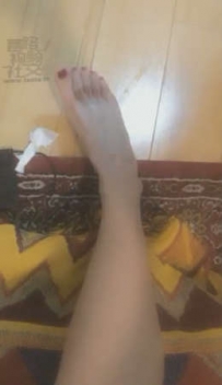 TL2692 狗子给主人牛奶洗脚