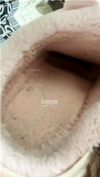 【第一视角】【兔粉粉】gts棉拖脏臭袜    260121-24