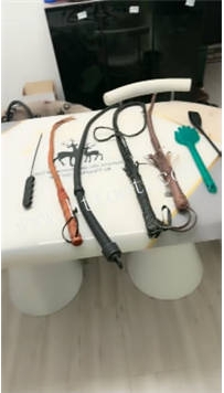 ZB3209 傲雪】挑战各种鞭子41分钟