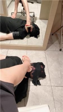 【调教视频】【楚楚大人】镜前高跟凉鞋踩虐 JS250530-7