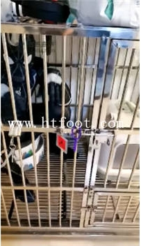 TL17398 美学S收拾见货29分钟