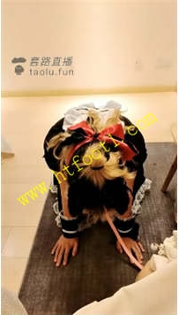 TL21380 女攻驾到】挑战600耳光成功47分钟