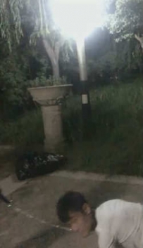 TL3622 芷晴S 户外遛狗