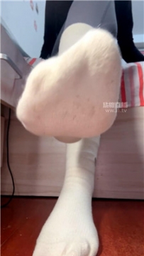 【第一视角】【咬猫】酸臭棉袜司马    260329-32
