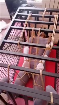 【调教视频】【妃妃】五花大绑囚禁狗奴才【下】 JS241222-12