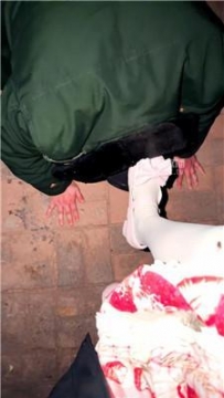 【调教视频】【妍妍】洛丽塔户外调狗 JS260412-44