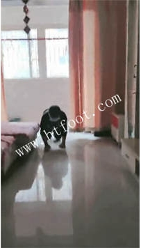 TL44431 美容院老板娘】教育儿子40分钟