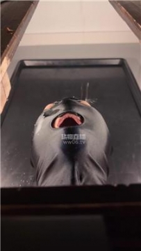 【调教视频】【Sera】厕M康复训练 JS251116-21