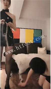 TL45579 成都黛娜】开播咯41分钟